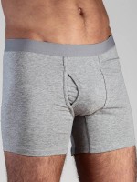 Albero Natur Herren Boxershort Grau