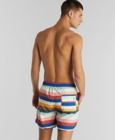 Dedicated Herren Swim Shorts Sandhamn Stripes Multi Color