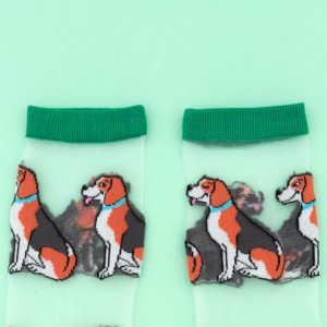 Coucou Suzette Unisex Socken Transparent Beagle