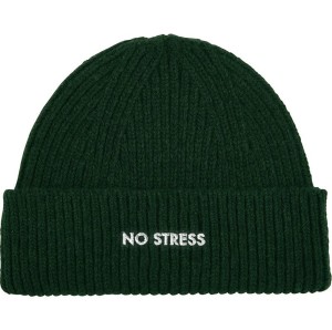 Bask in the Sun Beanie NO STRESS spinach