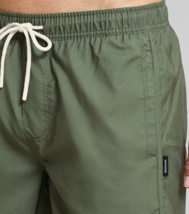 Dedicated Herren Swim Shorts Sandhamn Leaf green