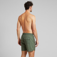 Dedicated Herren Swim Shorts Sandhamn Leaf green