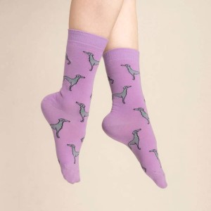 Coucou Suzette Unisex Socken Windhund