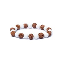 Phoenix Import Armband Rudraksha/Muschel 15624