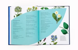 Laurence King Verlag Buch Wilde Alchemie