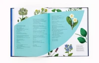 Laurence King Verlag Buch Wilde Alchemie