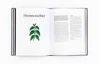 Laurence King Verlag Buch Wilde Alchemie