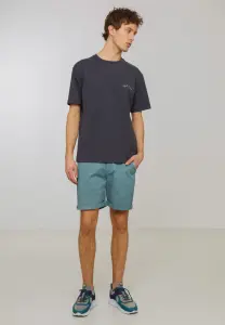 Recolution Herren Shorts Majoram lake green