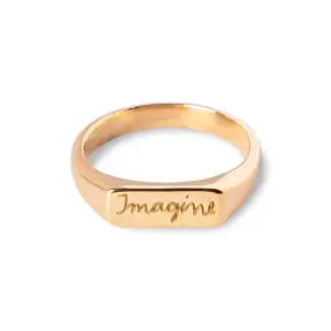 Ting Goods Ring Imagine Messing