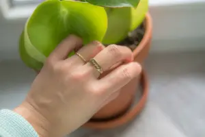 Ting Goods Ring Imagine Messing