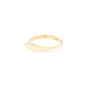 Ting Goods Ring Signet oval Messing