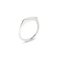 Ting Goods Ring Signet oval silber