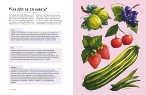 Knesebeck Buch Im Flow mit den Jahreszeiten