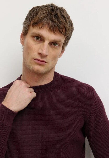Recolution Herren Pullover Lupin dark plum