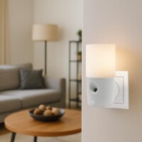 Baldini Air Friend Wall Plug grau