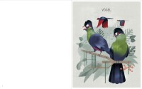 Knesebeck Buch Outlines Ausmalbuch