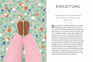 Knesebeck Buch Grounding