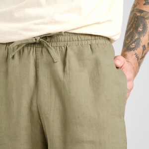 Dedicated Herren Shorts Velje Linen Leaf Green