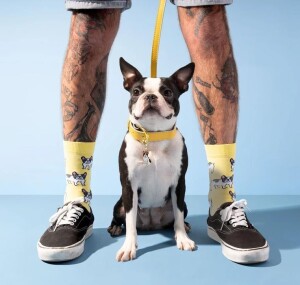 Coucou Suzette Unisex Socken Bulldogge