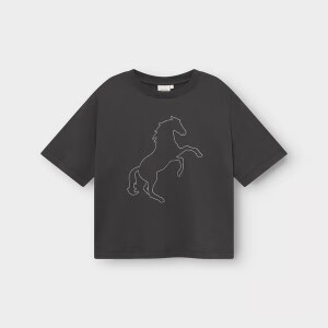 Dedicated Damen T-Shirt Vadstena Wild Horse Stitch charcoal
