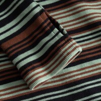 Dedicated Damen Longsleeve Malma irregular Stripes green