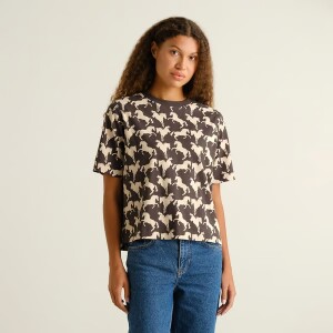 Dedicated Damen T-Shirt Vadstena Wild Horses AOP charcoal