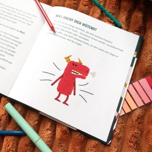 Ein guter Plan Buch Wut ist ein gutes Gefühl