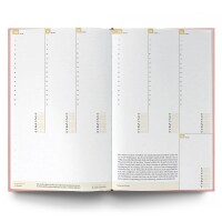 Ein guter Plan EDU 2026/2027 - Polarlicht
