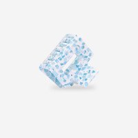 SASSTIE Haarklammer Lib Aqua