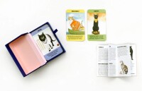 Laurence King Verlag Kartenset Katzen-Gurus mini