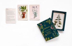 Laurence King Verlag Kartenset Heilpflanzen