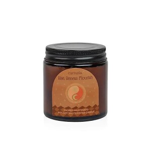 Phoenix Import Duftkerze Sojawachskerze Carnatia Magic...