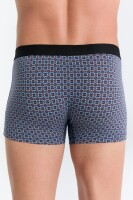 Albero Natur Herren Trunkshorts Floralgeo