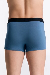 Albero Natur Herren Trunkshorts Alpengrau