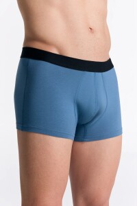 Albero Natur Herren Trunkshorts Alpengrau