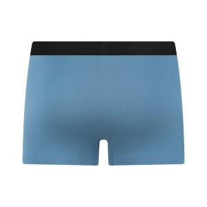 Albero Natur Herren Trunkshorts Alpengrau