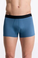 Albero Natur Herren Trunkshorts Alpengrau