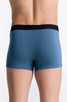Albero Natur Herren Trunkshorts Alpengrau