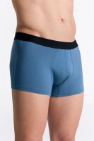 Albero Natur Herren Trunkshorts Alpengrau